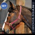 /album/fotogaleria-ohlavka-hooligan/kantar-api-hooligan-cierny-pony-cob-full-jpg1/